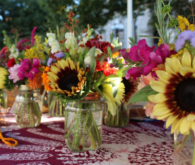 Willow Tree Farm Flowers